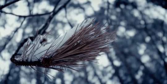 Video aus dem Siebentischwald Augsburg im Winter vom Videograf Marcus Lange Videoproduktion Augsburg